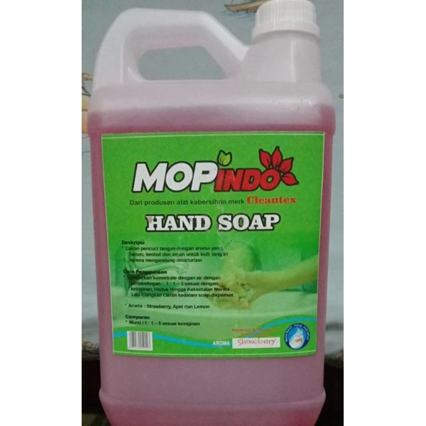 Sabun Cuci Tangan / Hand Soap